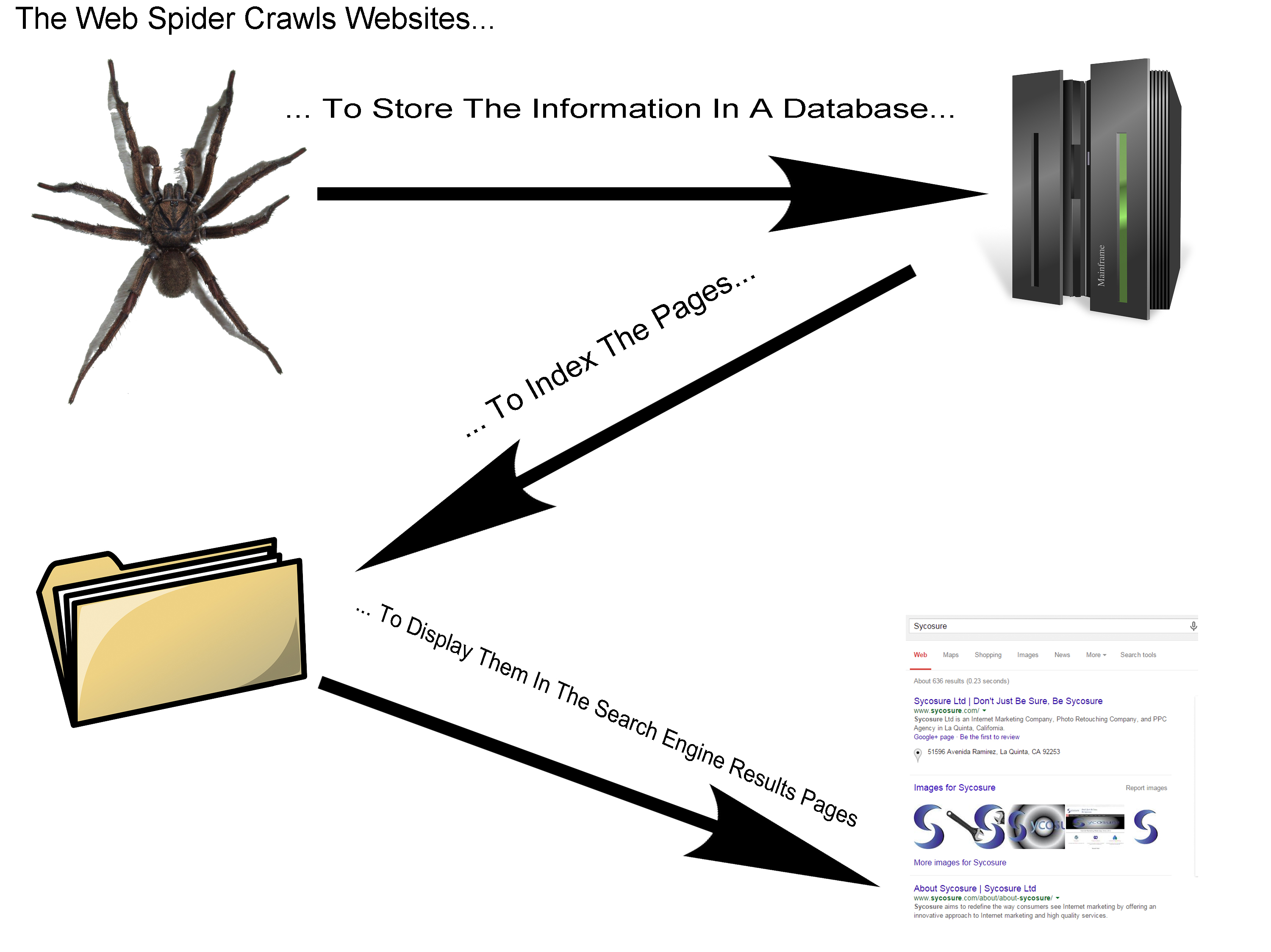 Search Engine Spiders: O que significa, para que serve e como funciona?