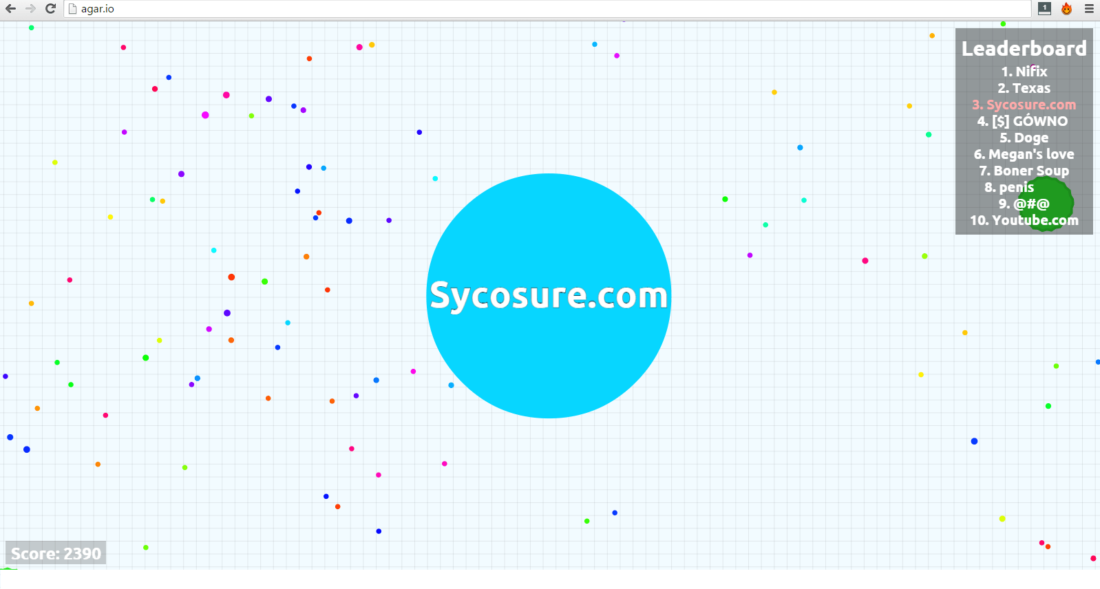 The Marketing Potential of Agar.io