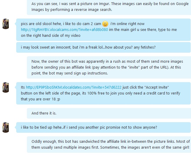 Skype spam bot 2