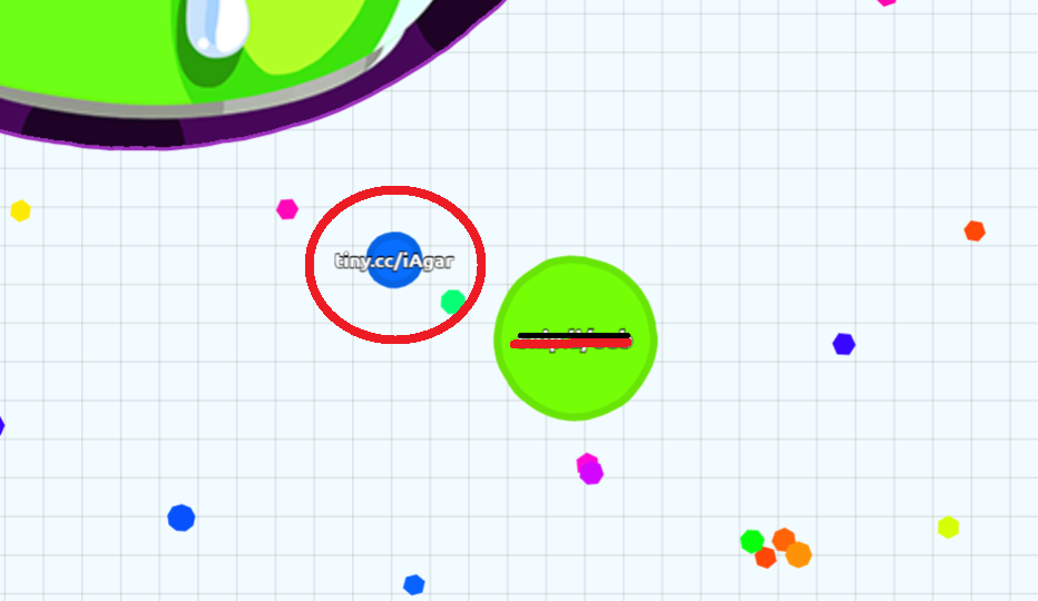 The Marketing Potential of Agar.io