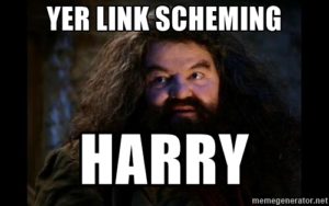 yer-link-scheming